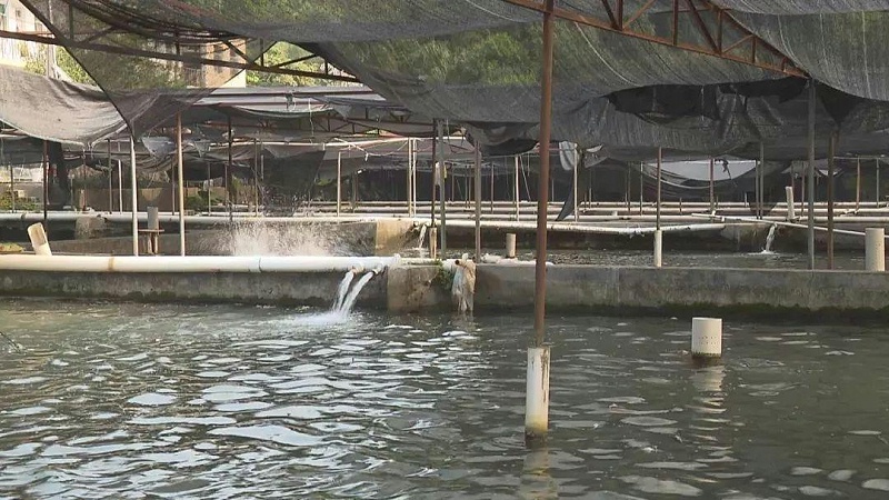 污水處理